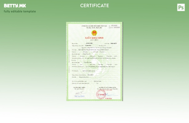 Модерен стил на виетнамски шаблон за матична книга на родените во шаблон PSD фор